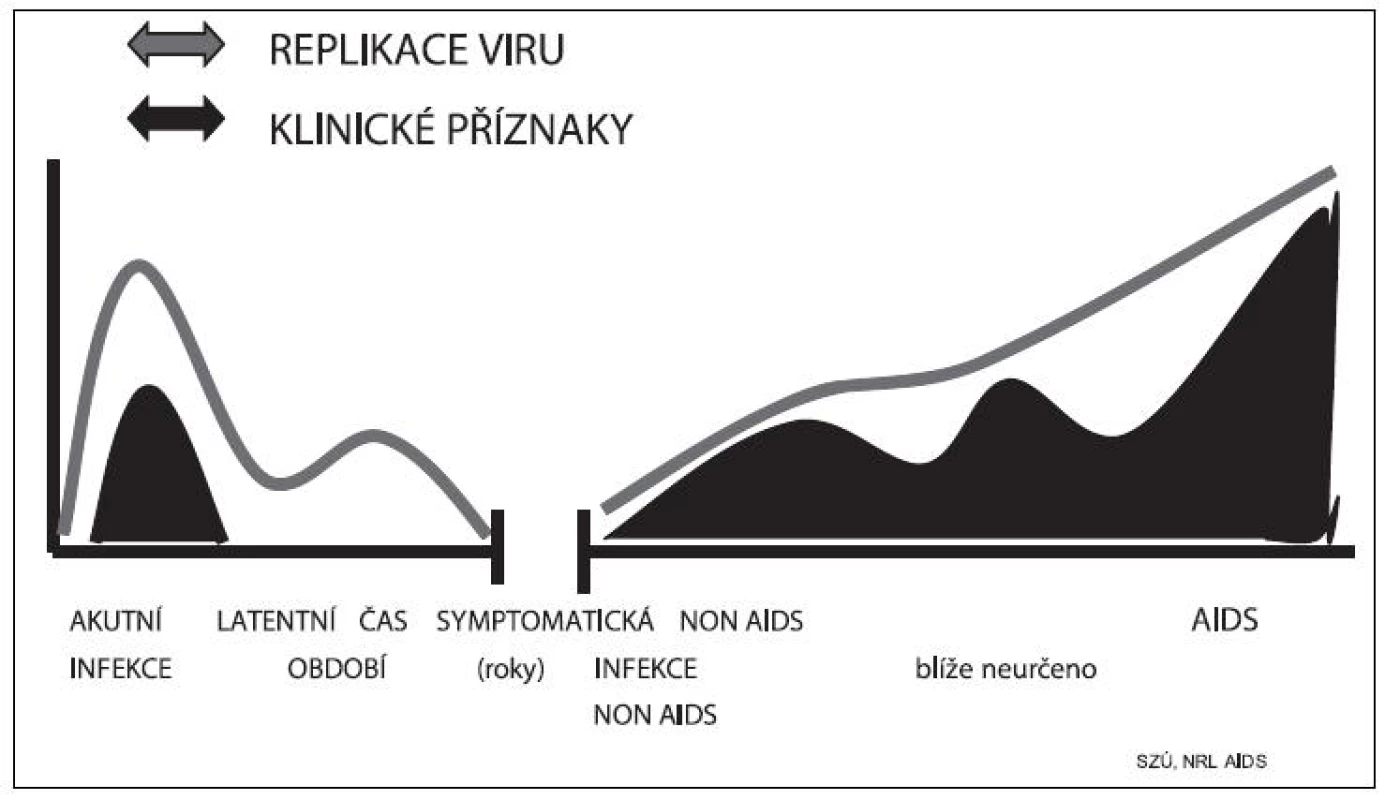 Průběh infekce HIV
Fig. 7. Course of HIV infection