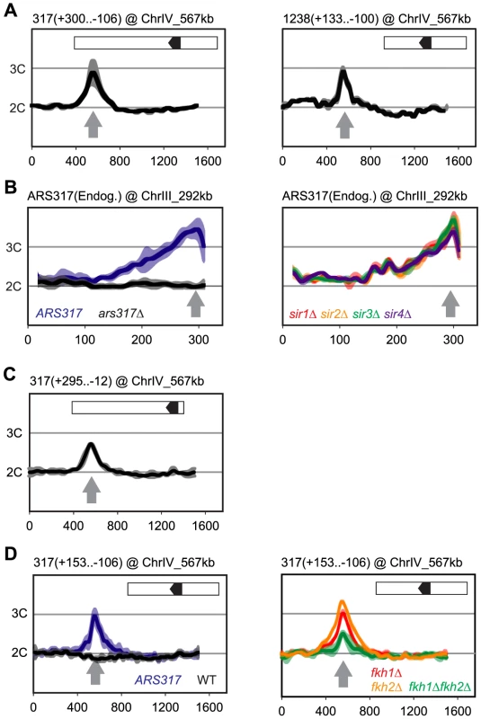 Local determinants and not chromatin context confer preferential re-initiation on <i>ARS317</i> and <i>ARS1238</i>.
