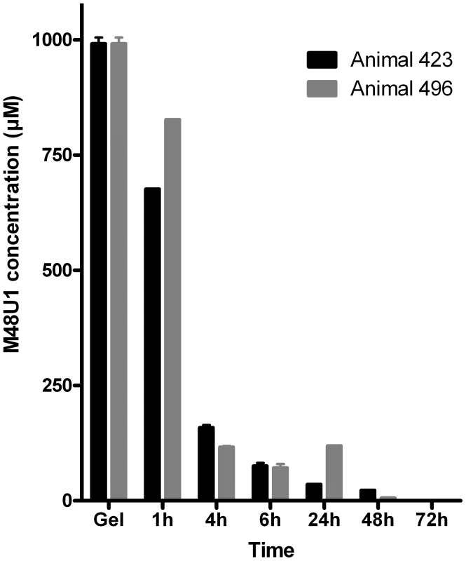 Pharmacokinetic studies in non-infected macaques.
