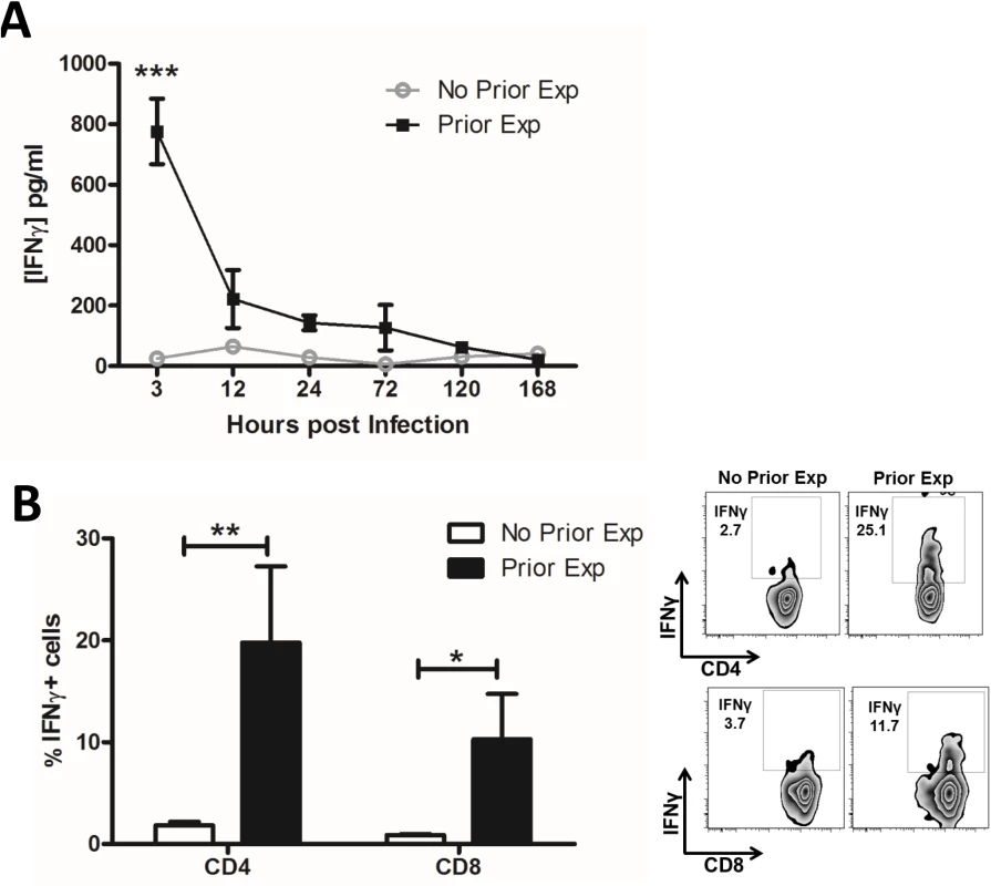 Prior exposure to <i>S</i>. <i>aureus</i> increases IFNγ secretion by CD4<sup>+</sup> and CD8<sup>+</sup> T cells during subsequent infection.