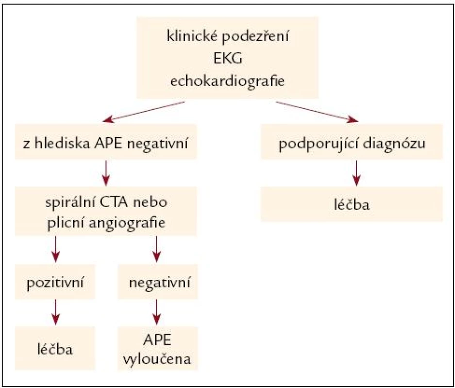 Algoritmus diagnostiky akutní masivní plicní embolie (hemodynamicky nestabilní) [6].