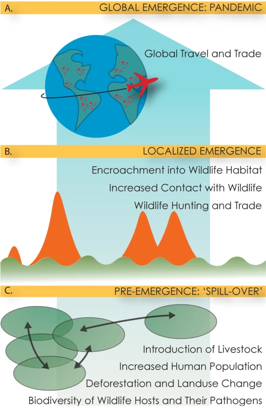 Figurative description of the multi-scale, multi-step process of pandemic emergence.