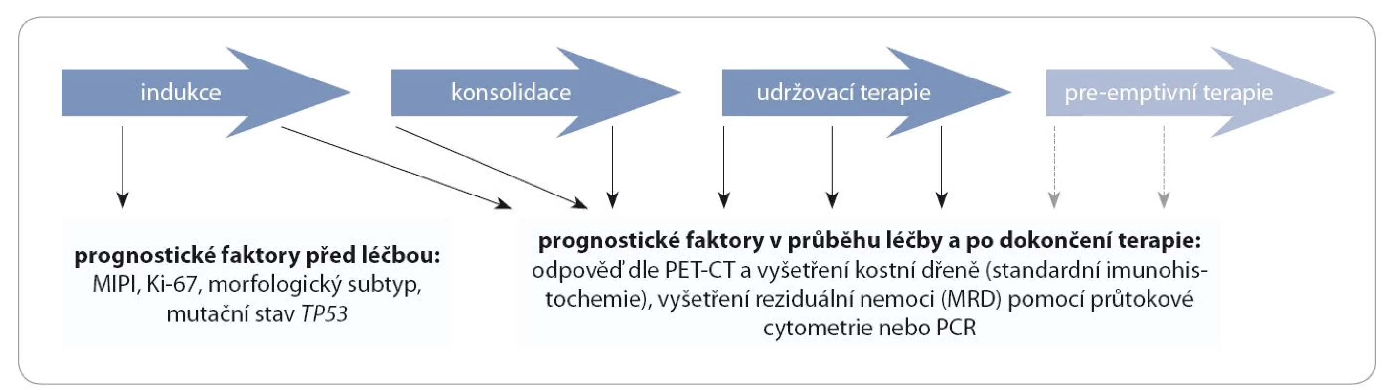 Prognostické faktory u pacientů s MCL před léčbou, v průběhu léčby a po jejím dokončení.