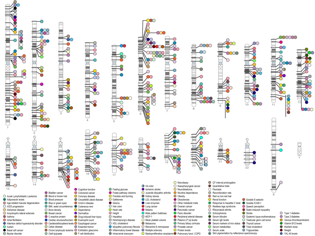 Published associations between chromosomal loci and many diseases which have been identified by genome-wide associations up to June 2009.