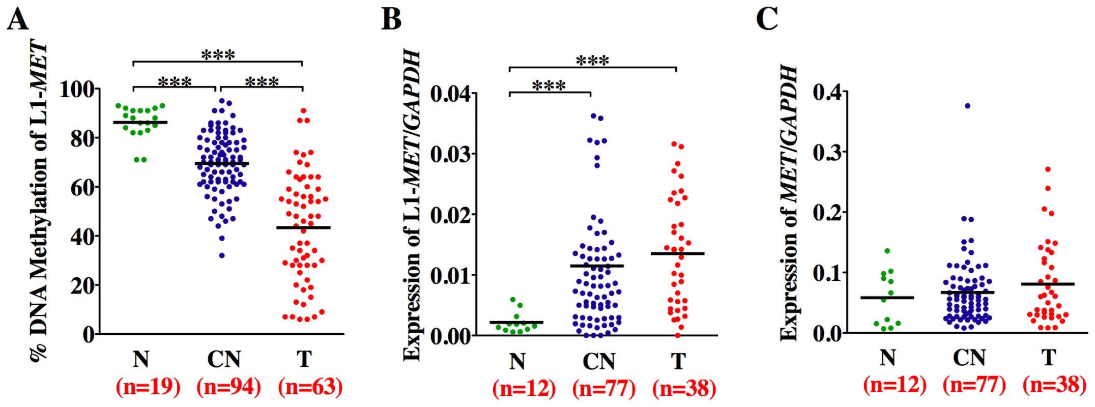Methylation and expression status of L1-<i>MET</i> correlates in bladder tissues.
