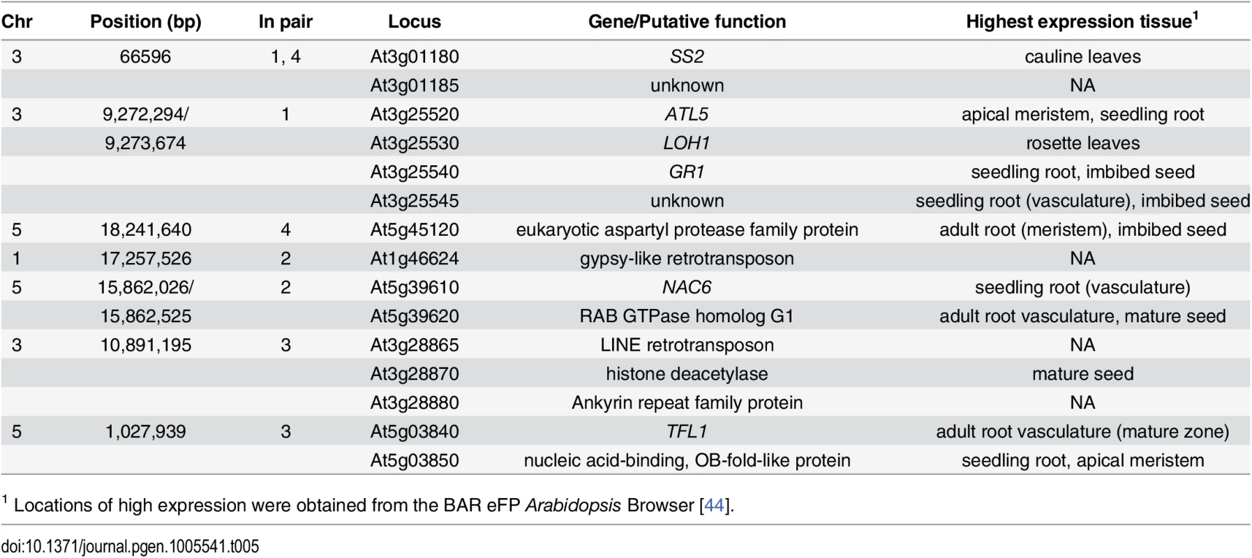 Function and expression patterns of genes in LD with leading SNP from epistatic GWAS analysis.