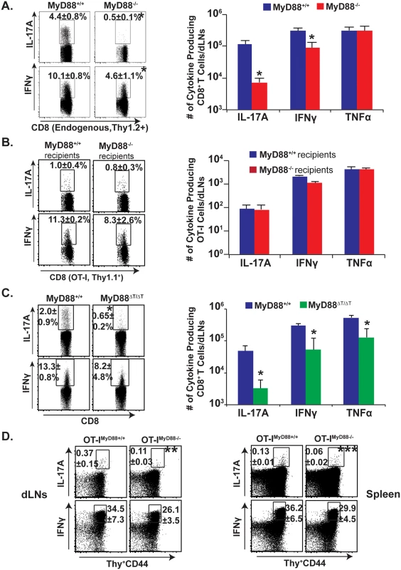 Intrinsic MyD88 signaling regulates Tc17 cell responses.