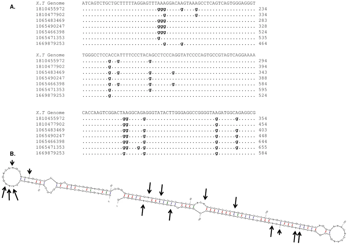 RNA editing in <i>Xenopus tropicalis</i>.