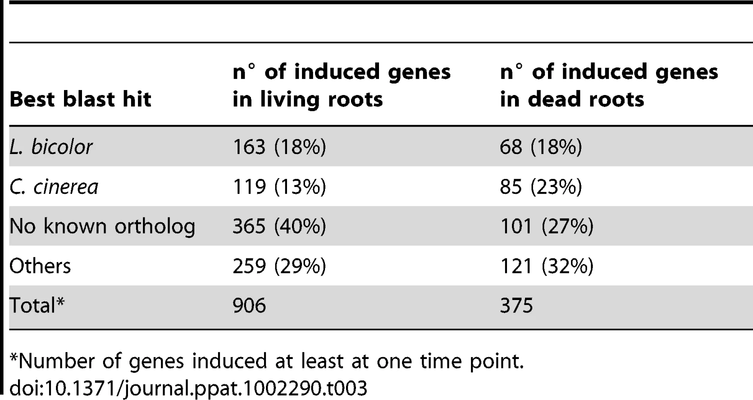 Best blast hits for the induced genes during symbiosis or saprotrophism.