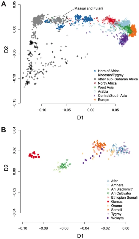 Multidimensional scaling analysis shows the great genetic diversity within the Horn of Africa.