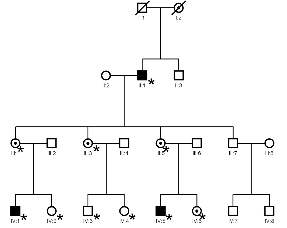 Vyšetřovaná rodina s RP vázanou na pohlavní chromozom s prokázanou patogenní mutací c.2426_2427delAG v ORF15 genu &lt;i&gt;RPGR&lt;/i&gt;. Hvězdičkou jsou označeni jedinci, u kterých bylo provedeno molekulárně genetické testování, černé čtverce představují postižené muže, kolečka s tečkou přenašečky, prázdné symboly jsou nepostižení rodinní příslušníci (30)