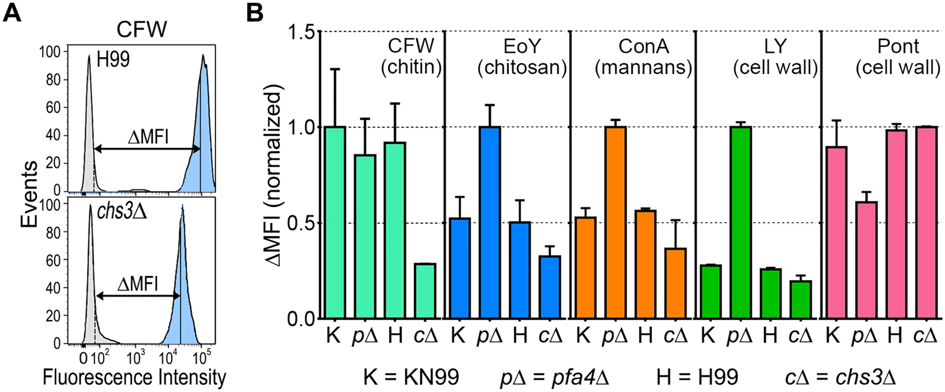 Exposure of cell surface components is altered in <i>pfa4</i>Δ cells.