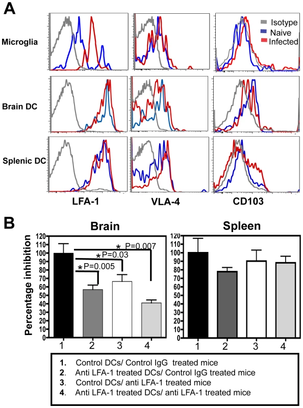 Migration of DCs into the brain is LFA-1 dependent.