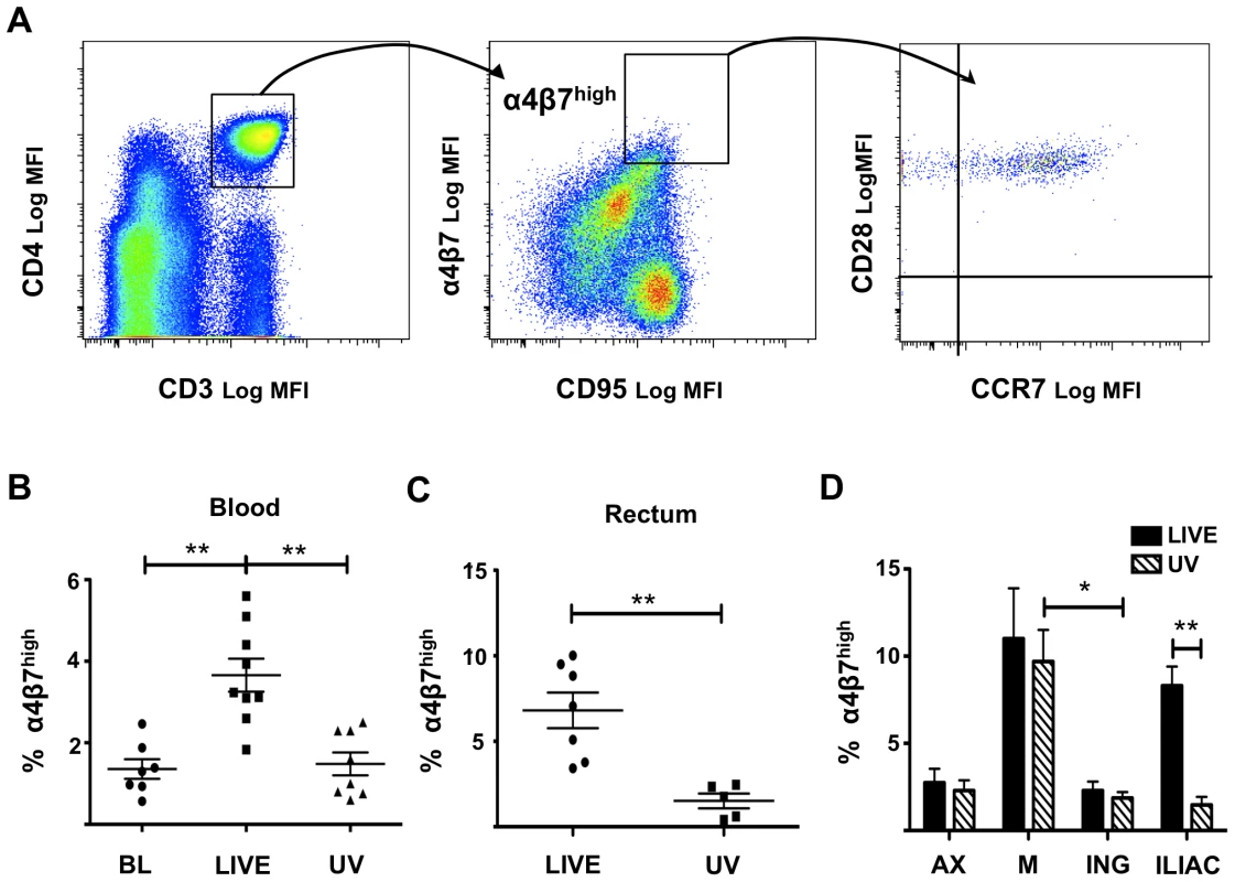 Rectal HSV-2 challenge increases the percentage of α<sub>4</sub>β<sub>7</sub><sup>high</sup>CD3<sup>+</sup>CD4<sup>+</sup> T cells in <i>in-vivo</i>.