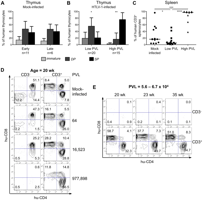 The human T-cell development is altered in HTLV-1-infected HIS Rag2<sup>-/-</sup>γ<sub>c</sub><sup>-/-</sup> mice.
