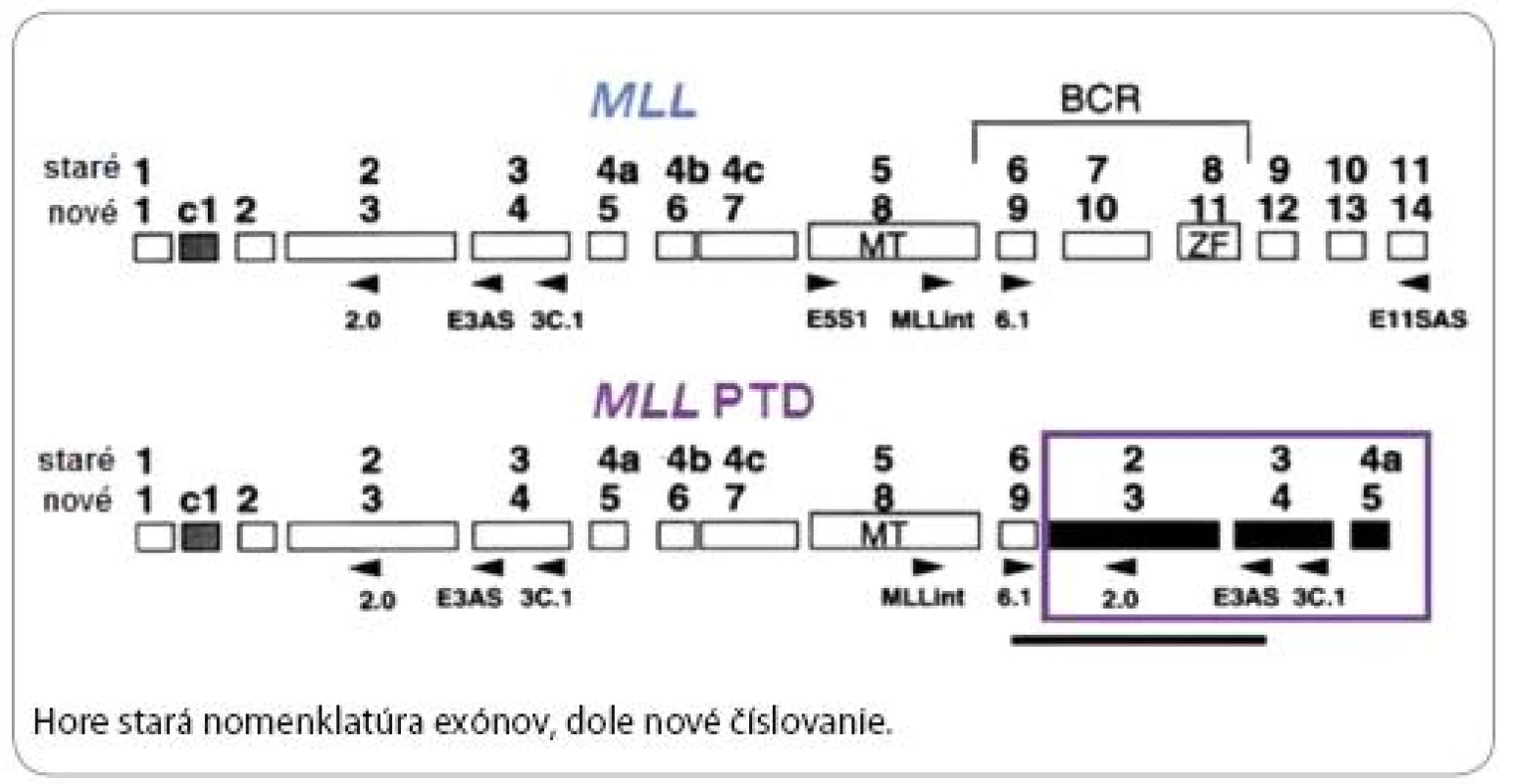 MLL protoonkogén a MLL PTD [18].