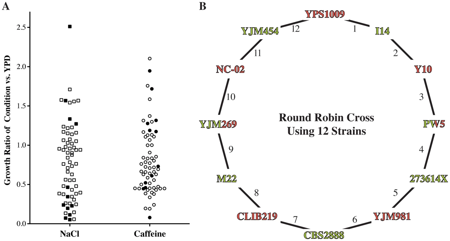 Design of round-robin cross to map salt and caffeine resistance.