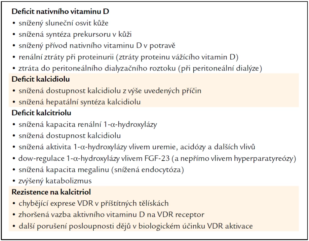 Komplexní porucha metabolizmu vitaminu D při chronických onemocnění a selhání ledvin (volně podle [12]).
