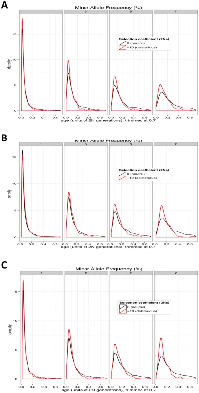 Age distributions for neutral and deleterious alleles from simulations.