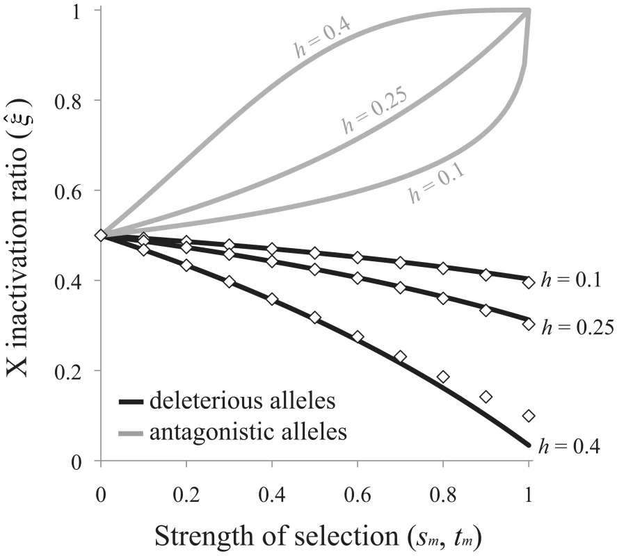 Sex-differential selection favors the evolution of biased RXI.