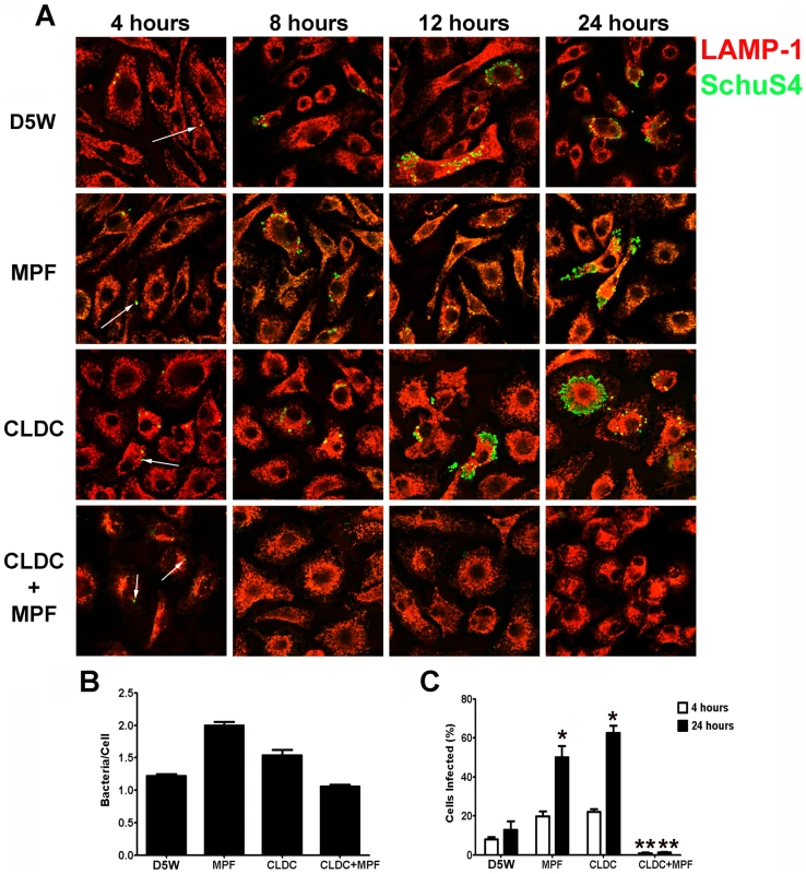 CLDC+MPF mediated control of <i>F. tularensis</i> replication in mouse macrophages.