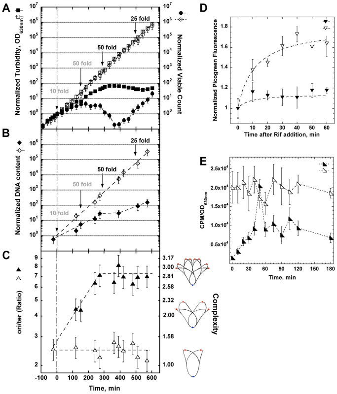 Physiological changes in <i>optA1 gpt</i> strain during growth in medium without hypoxanthine (Hx).