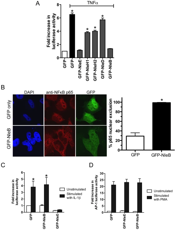 Inhibition of NF-κB activation by NleB.