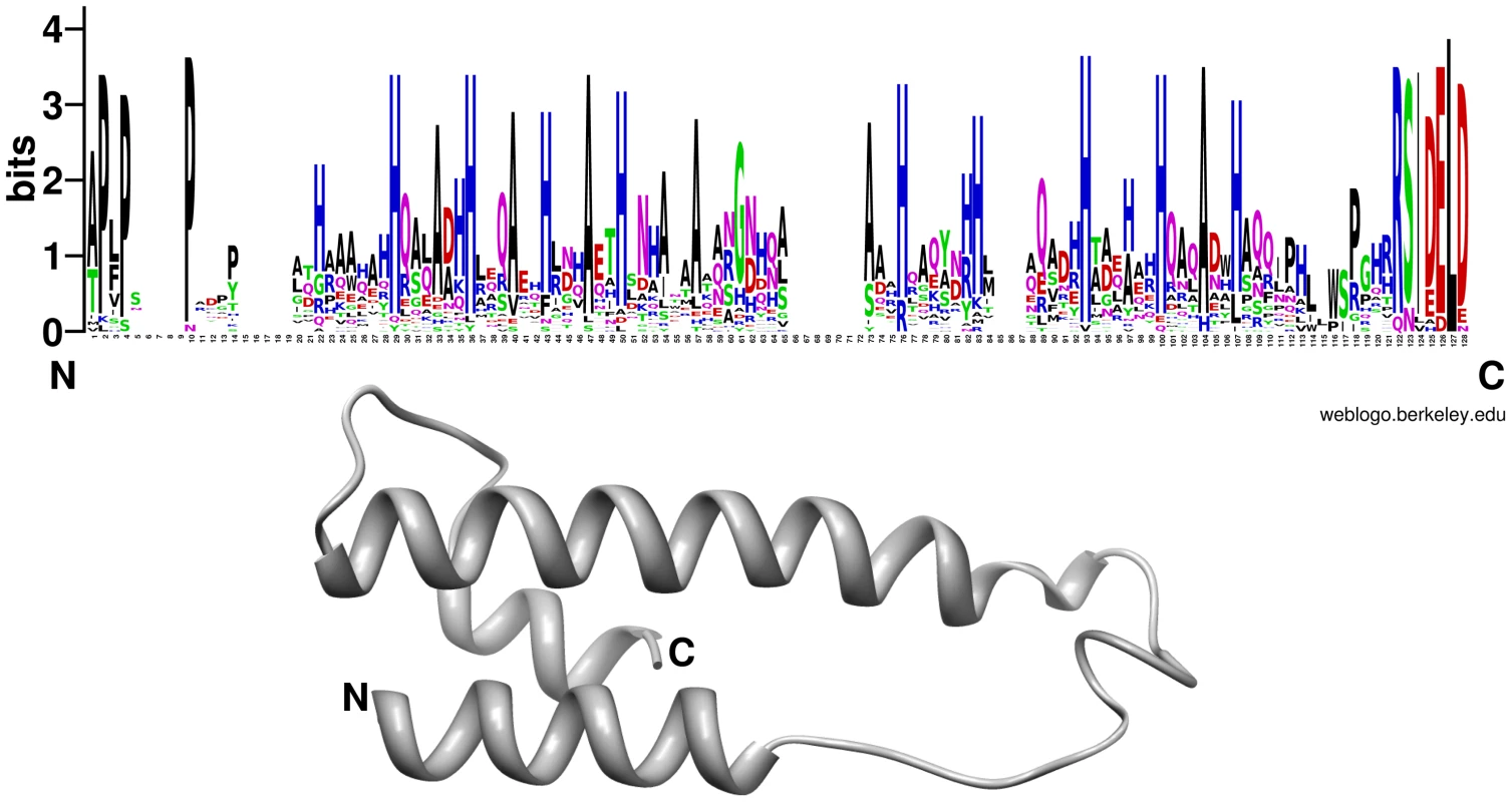 Conserved residues positions and schematic representation of the <i>P. indica</i> DELD protein structure.