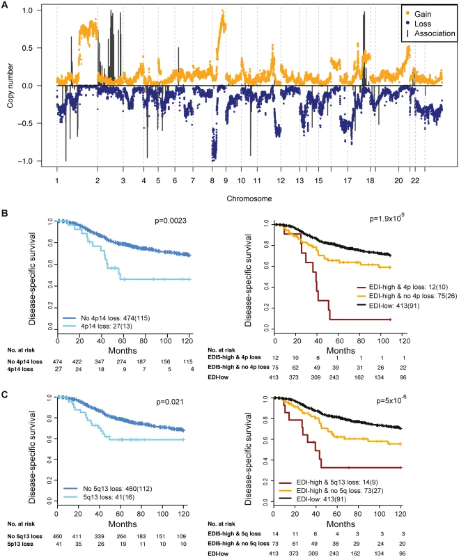 The relationship between ecological heterogeneity and cancer genomic aberrations in 507 grade 3 tumors.
