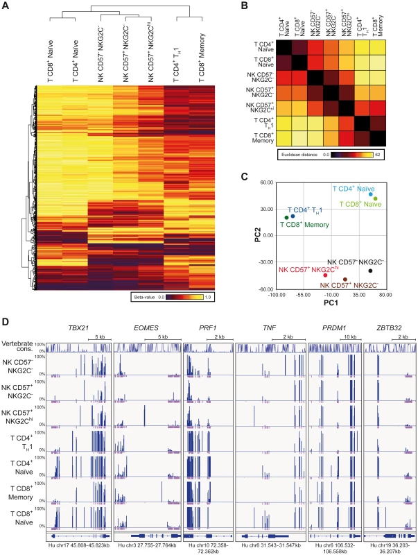 RRBS-based global methylation analysis of NK cell and T cell subsets.