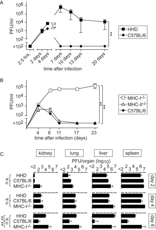 MHC-I but not MHC-II determines efficient LASV control.