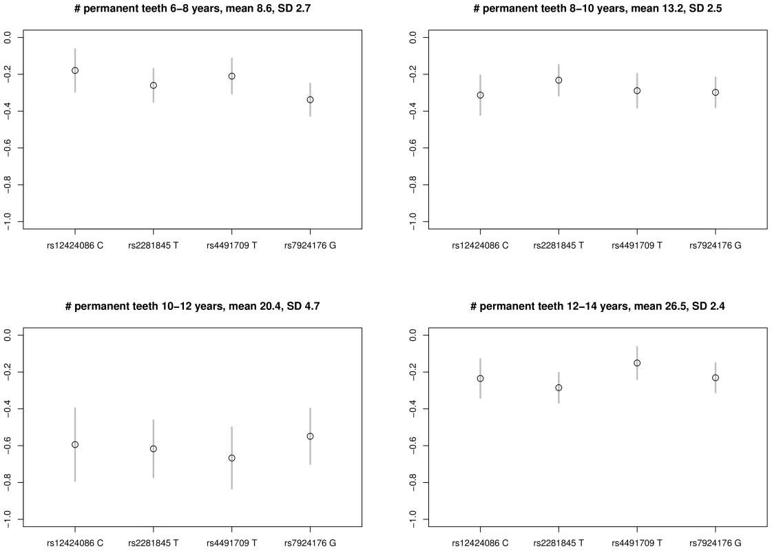 Per allele effect of the four variants on number of permanent teeth erupted based on data for women from the DNBC I &amp;amp; II study groups at age 6–8 years (N = 5,865), 8–10 years (N = 6,548), 10–12 years (N = 6,919), and 12–14 years (N = 7,059).
