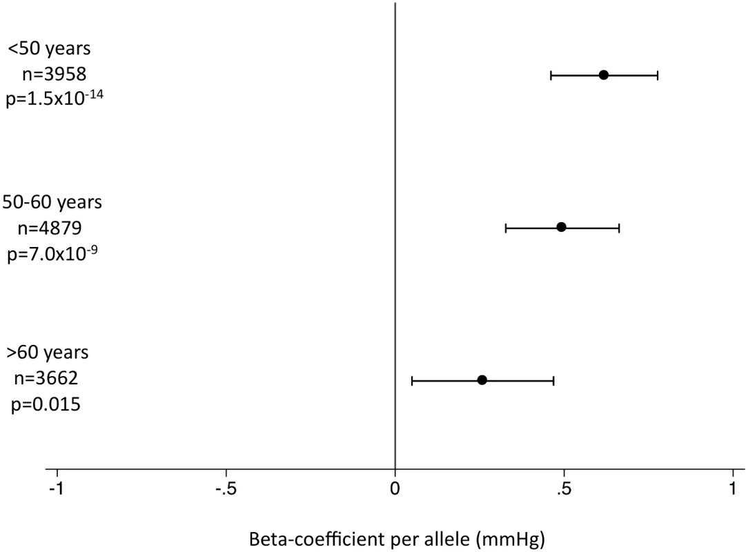 Association of the systolic blood pressure genetic score with systolic blood pressure by age stratum in the EPIC-InterAct subcohort.