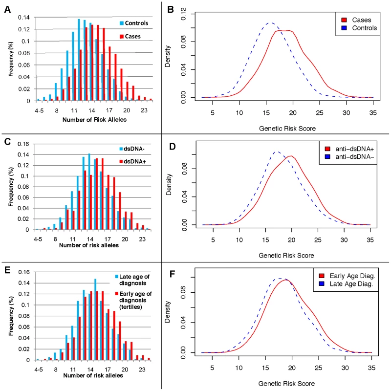 Distributions of the number of risk alleles and genetic risk score (GRS) by disease status, anti-dsDNA status, and age at diagnosis high-low tertiles.