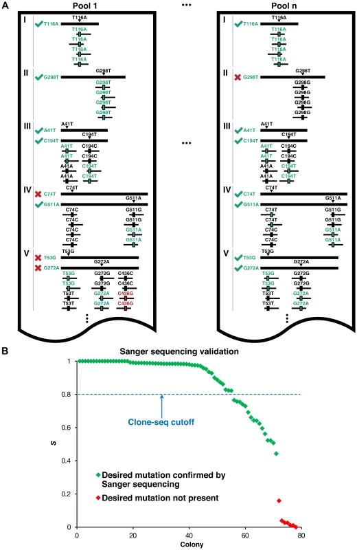 Identifying usable clones from Clone-seq.