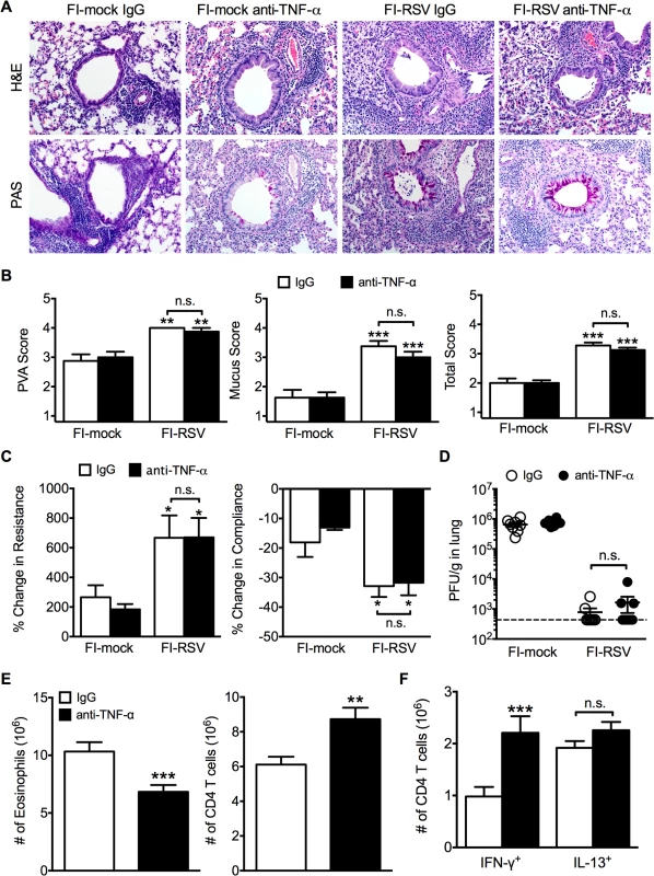 TNF-α contributes to airway obstruction and weight loss during FI-RSV VED.