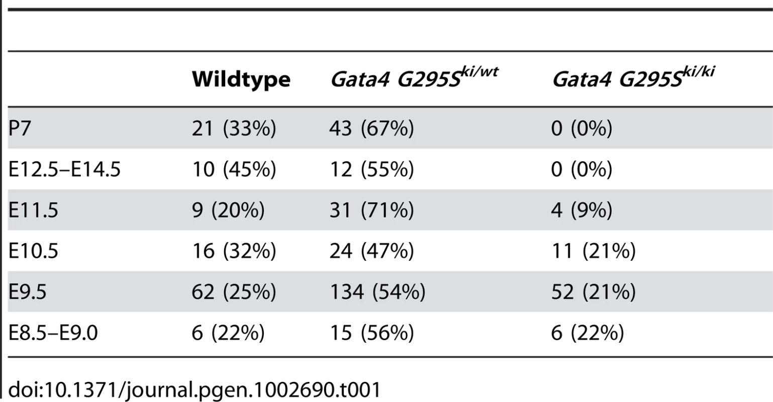 Distribution of progeny obtained from intercrossing Gata4 G295S heterozygote mice.