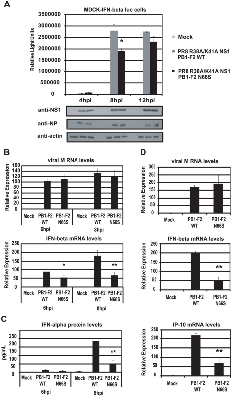 PB1-F2 N66S reduces IFN induction by a dsRNA and TRIM25 binding mutant NS1 influenza virus.