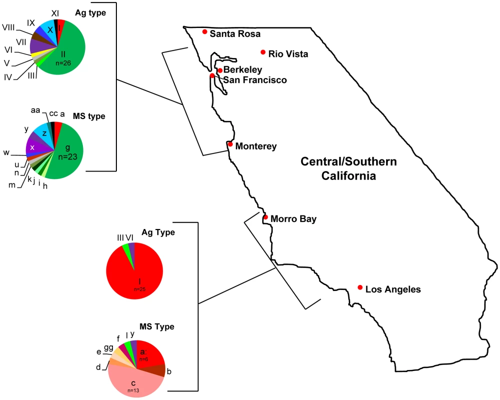 Geographic distribution of <i>Sarcocystis neurona</i> Ag and MS types in California.