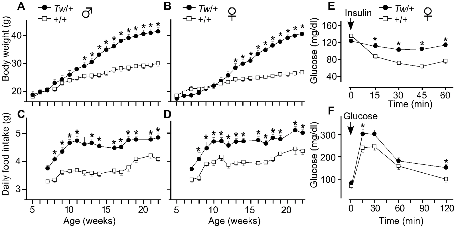 Body weight, daily food intake, and insulin and glucose tolerance of Twirler mice.