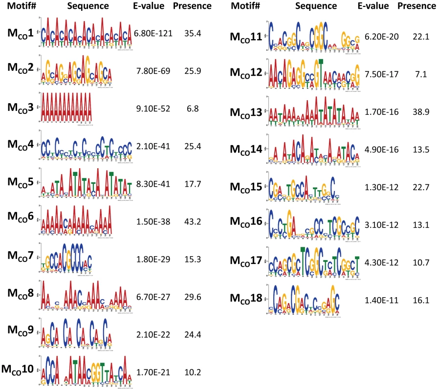 Top DNA motifs found enriched in sequences encompassing CO events.