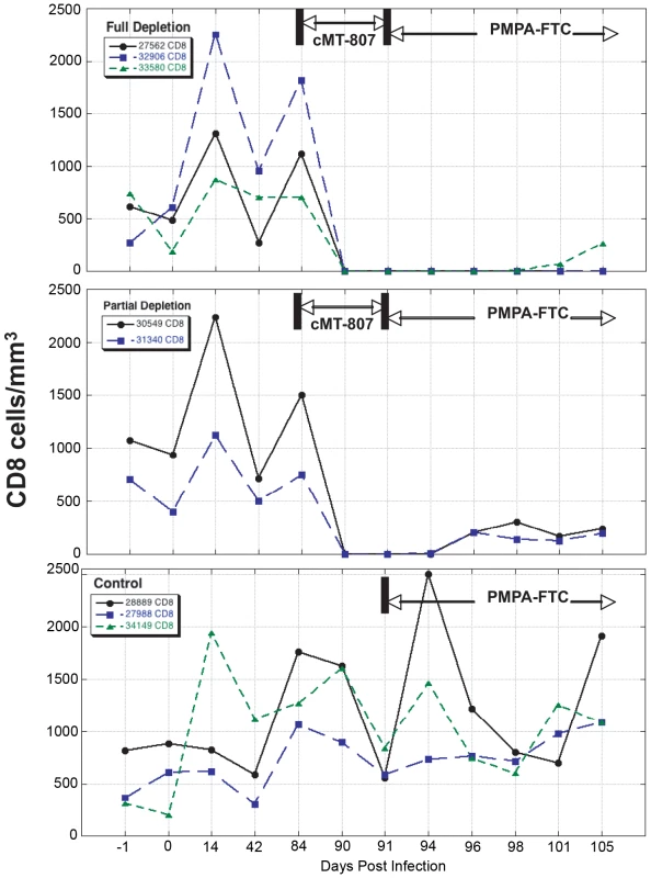 CD8 T-cell concentrations before, following treatment with cMT-807 antibody and after starting PMPA/FTC.