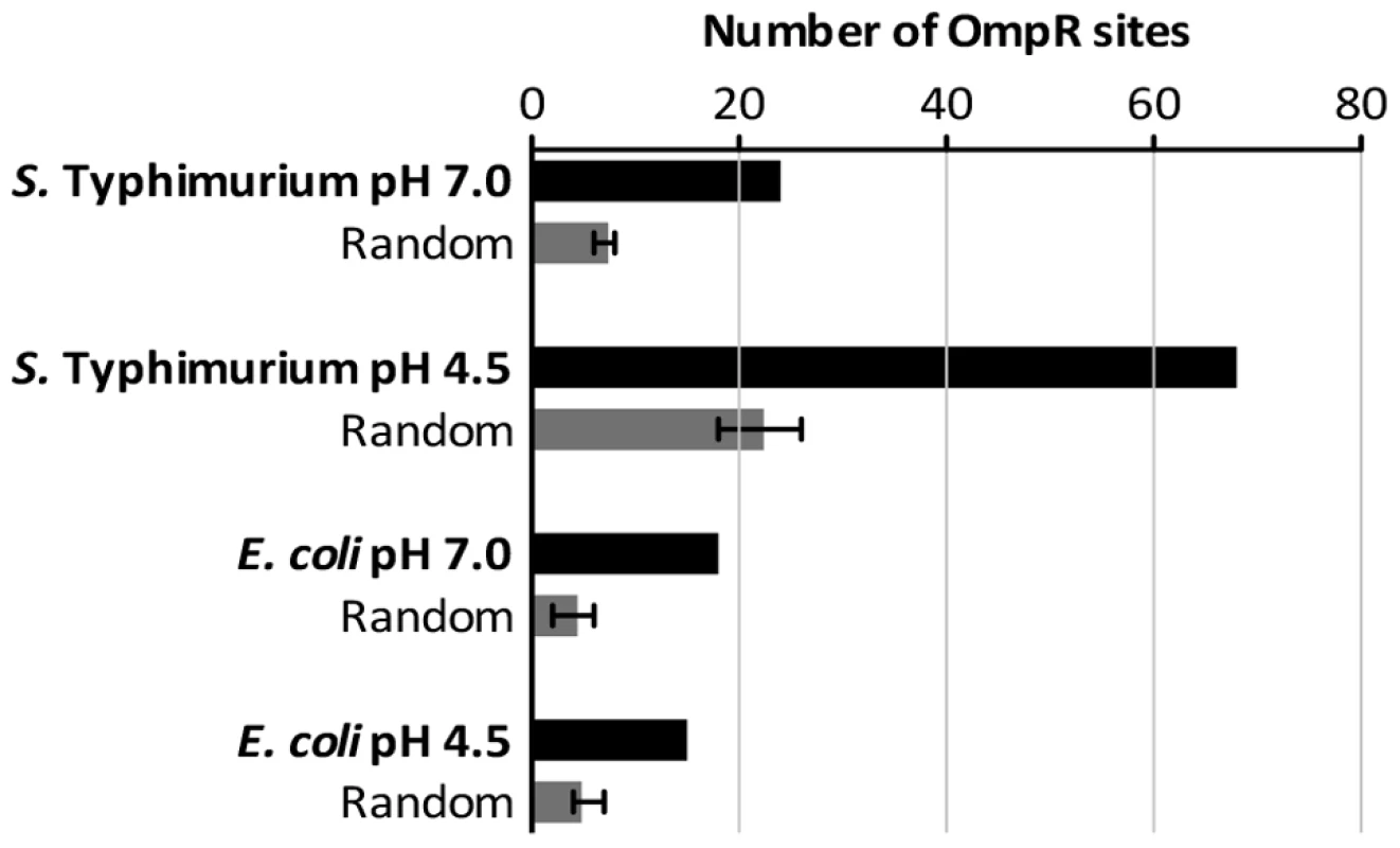 The number of high-scoring OmpR sites identified within the ChIP datasets.