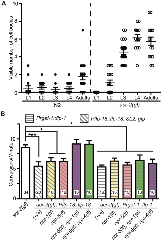 Induced expression of FLP-18 in <i>acr-2(gf)</i> correlates with the onset of convulsions, and high levels of FLP-18 or FLP-1 suppress convulsions.