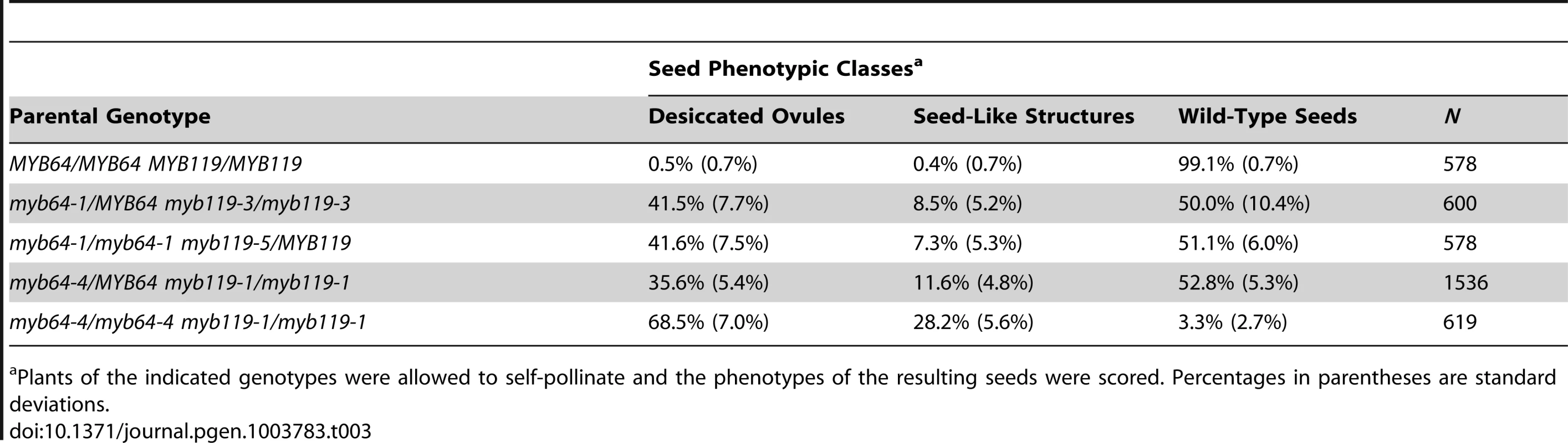 Analysis of <i>myb64 myb119</i> seed phenotypes.