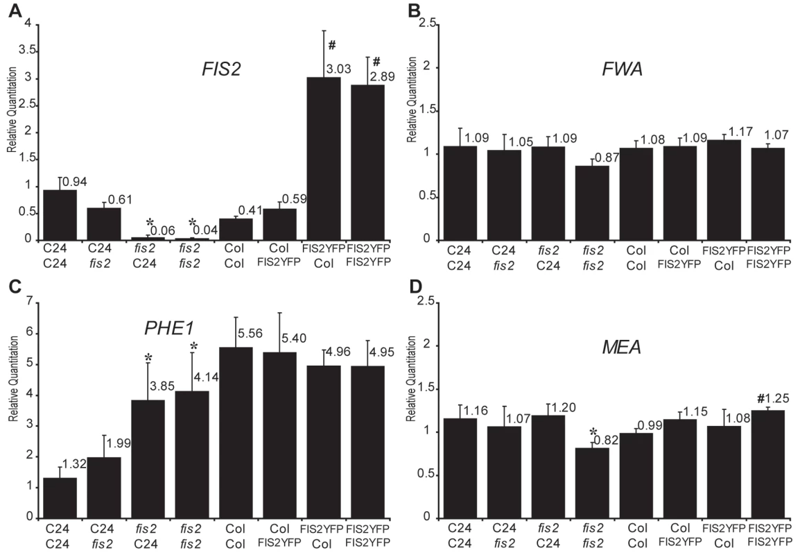 Effects of <i>FIS2</i> mRNA levels on the expression of imprinted genes.