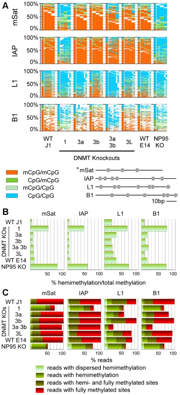 Methylation pattern of CpG dyads at repetitive elements in ESCs depleted for Dnmts or factors of the methylation machinery.