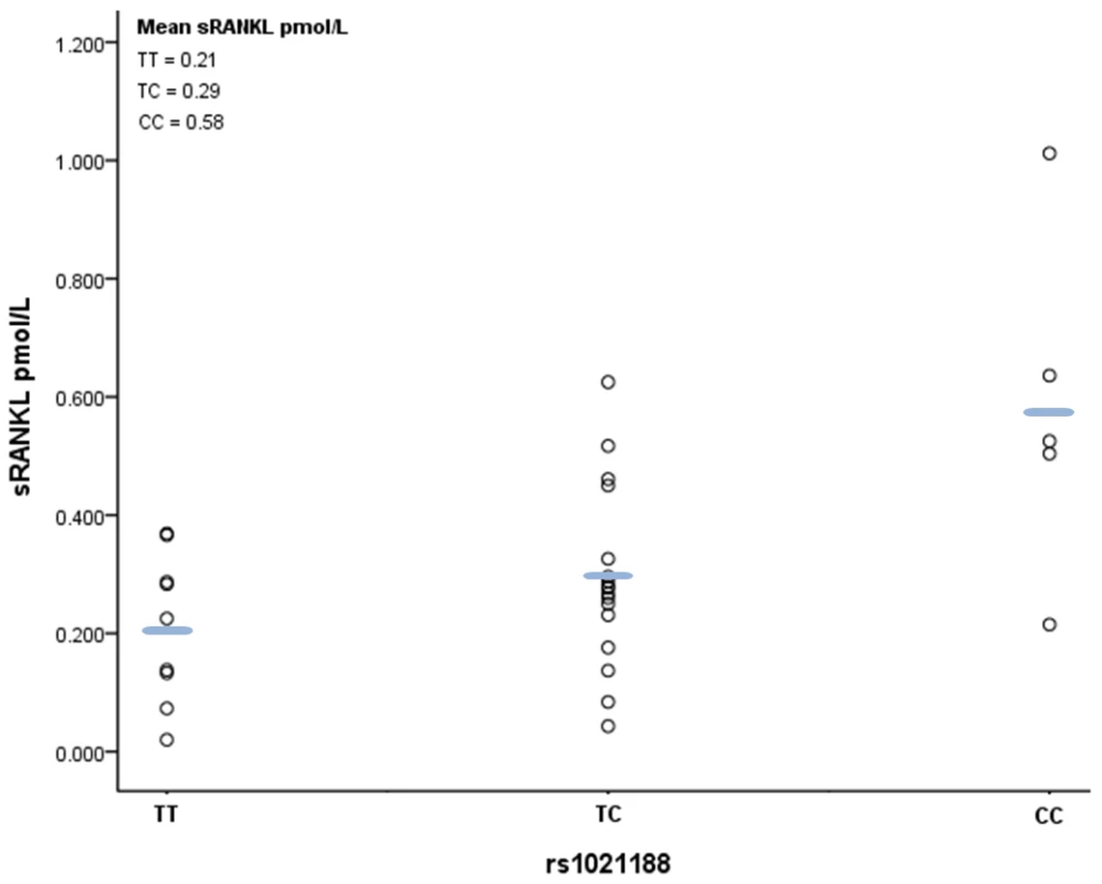 Scatter plot and mean values of free plasma RANKL levels according to rs1021188 genotype.