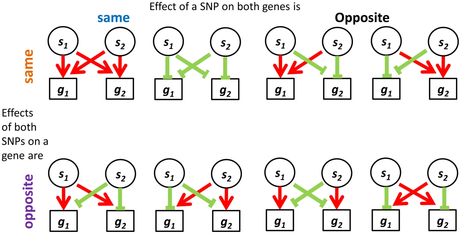 Four categories describing the eight configurations of directions of effect observed in real data between eSNP sources and gene targets.
