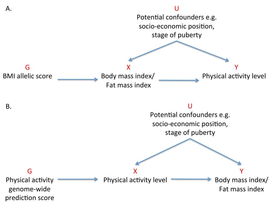 Addressing the causal directions of effect in the association between adiposity and physical activity with the use of allelic scores and Mendelian randomization analysis.